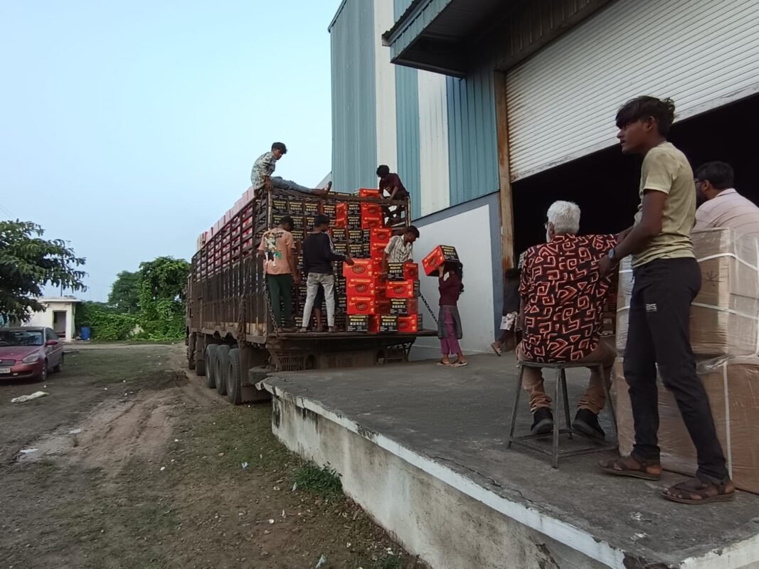 WhatsApp Image 2025-11-25 at 12.51.25 PM (1)