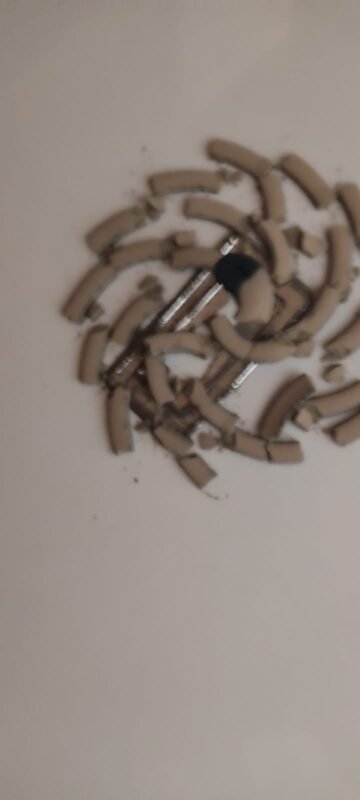 WhatsApp Image 2025-11-25 at 12.51.27 PM (2)