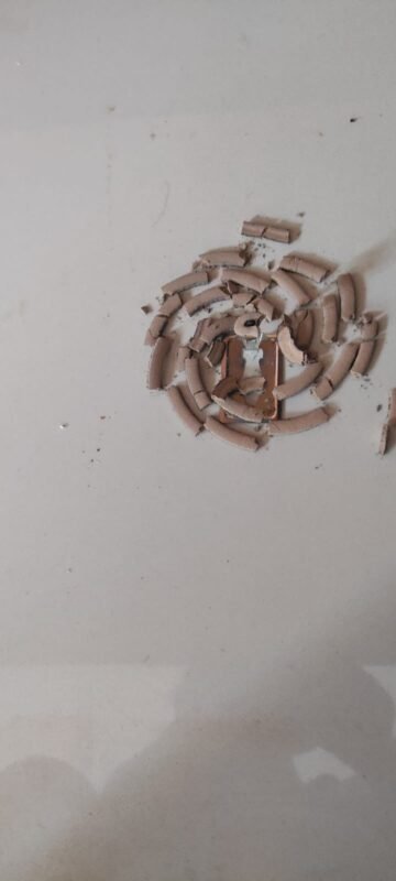 WhatsApp Image 2025-11-25 at 12.51.38 PM